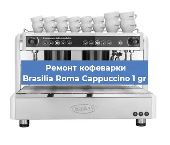 Замена жерновов на кофемашине Brasilia Roma Cappuccino 1 gr в Ижевске